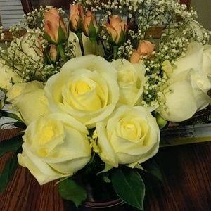 Meet your Posher, Janeen